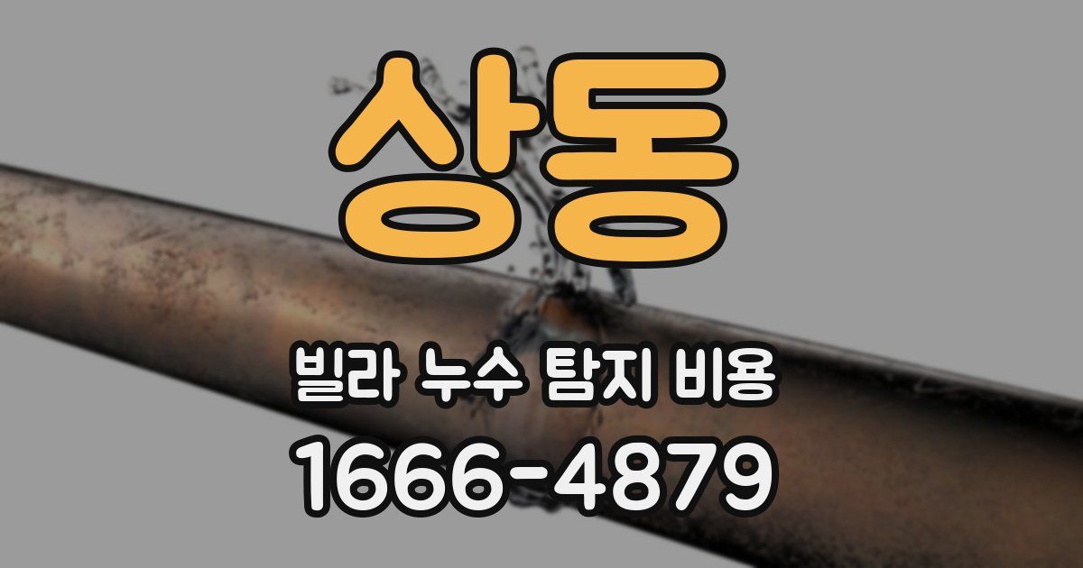 상동 빌라 누수 탐지 비용