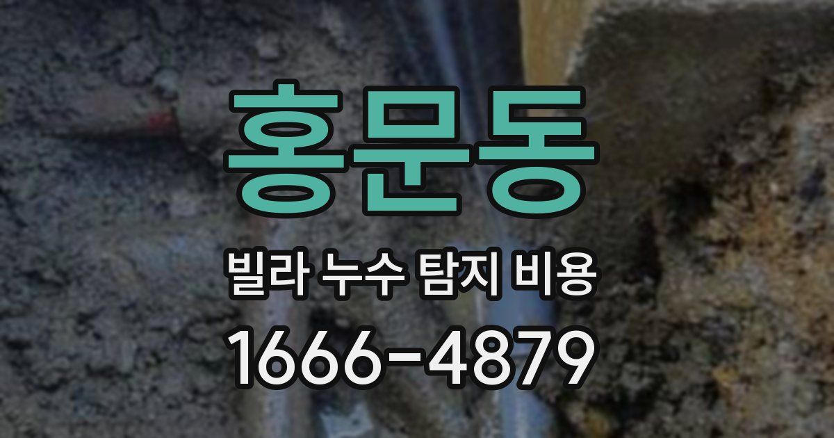 홍문동 빌라 누수 탐지 비용