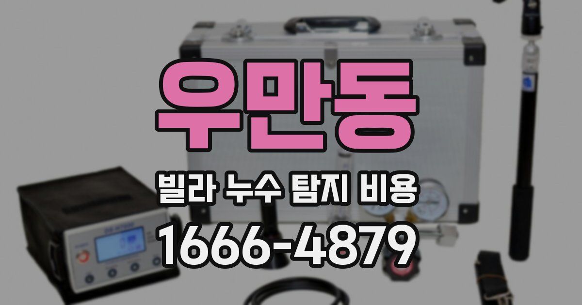 우만동 빌라 누수 탐지 비용