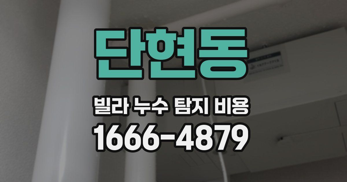단현동 빌라 누수 탐지 비용