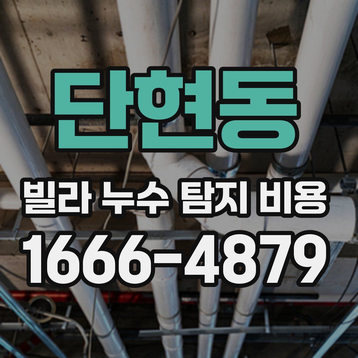 단현동 빌라 누수 탐지 비용