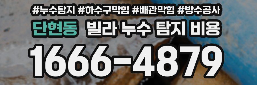 단현동 빌라 누수 탐지 비용