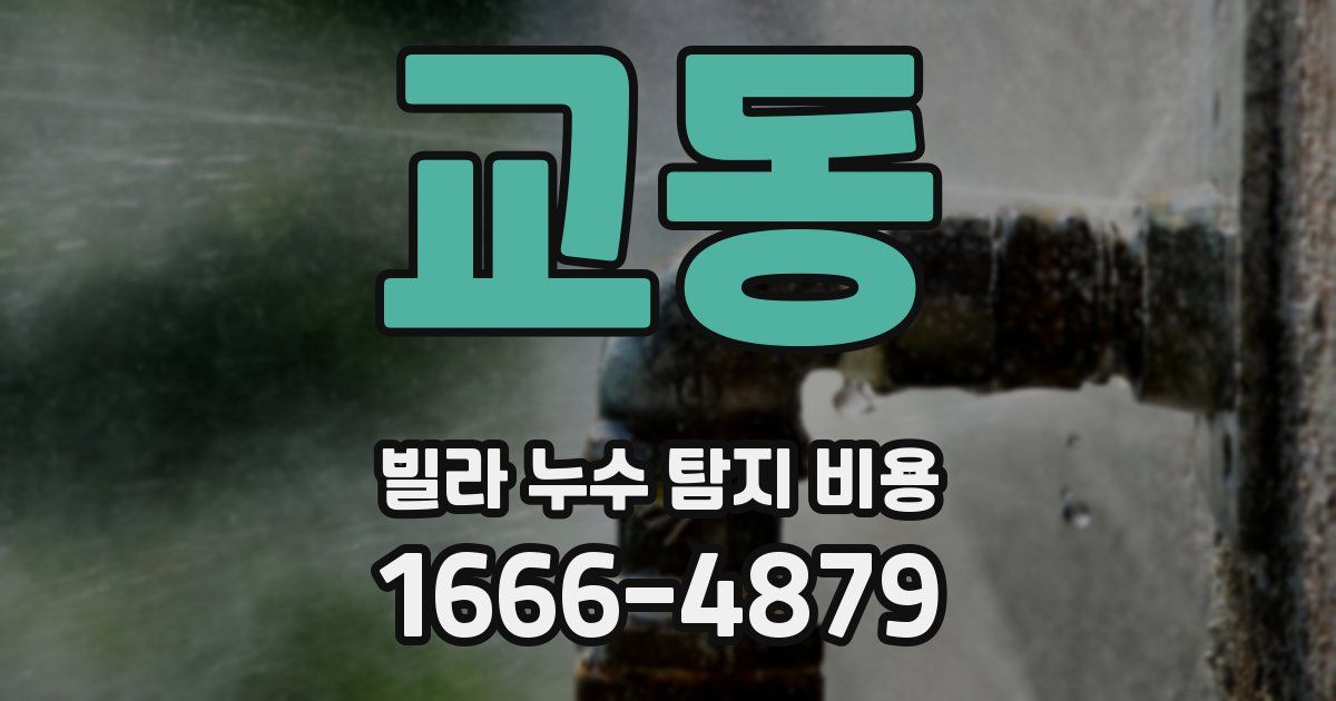 교동 빌라 누수 탐지 비용