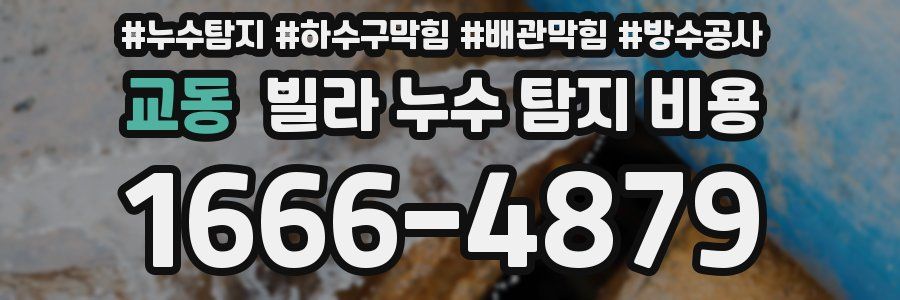 교동 빌라 누수 탐지 비용