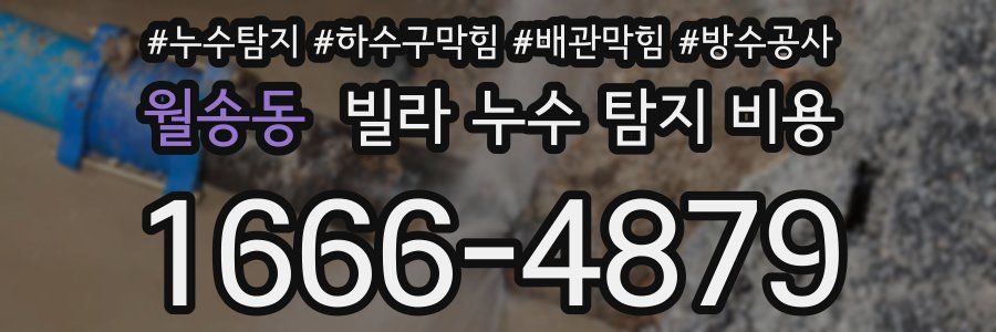 월송동 빌라 누수 탐지 비용