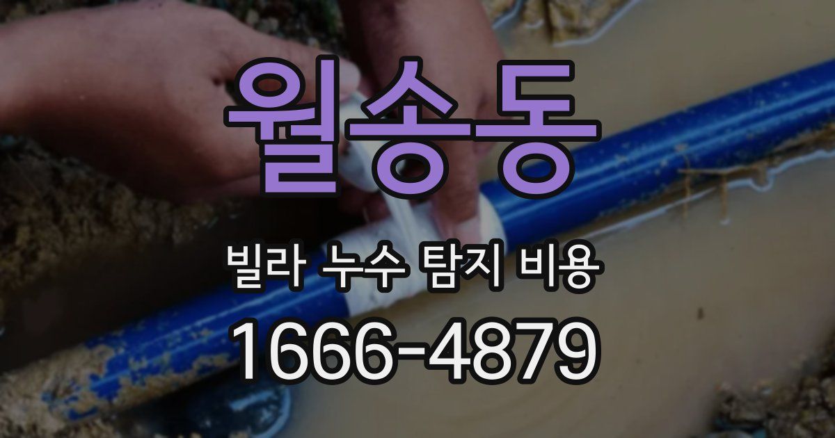 월송동 빌라 누수 탐지 비용