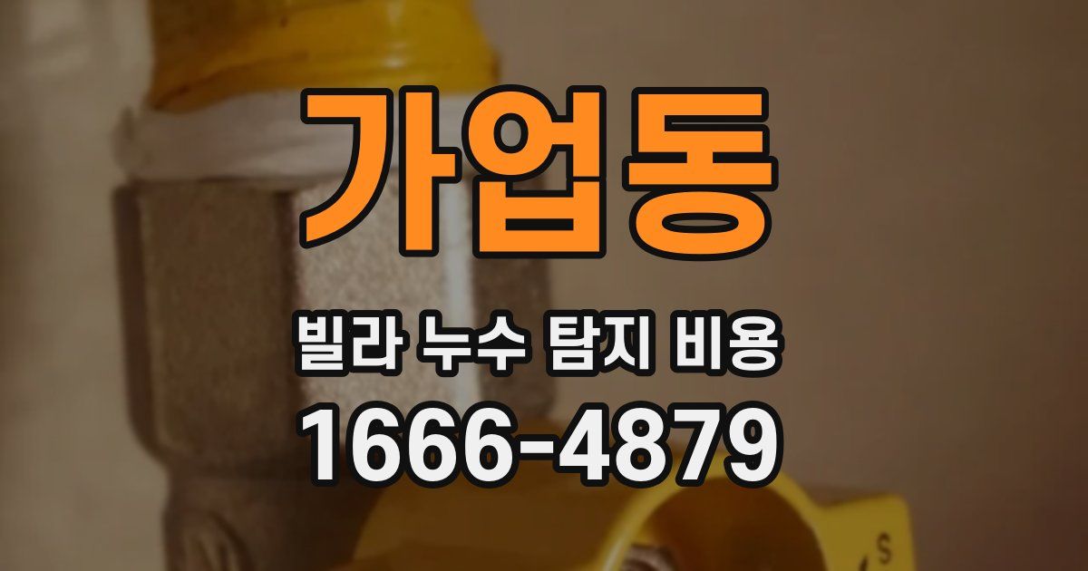 가업동 빌라 누수 탐지 비용