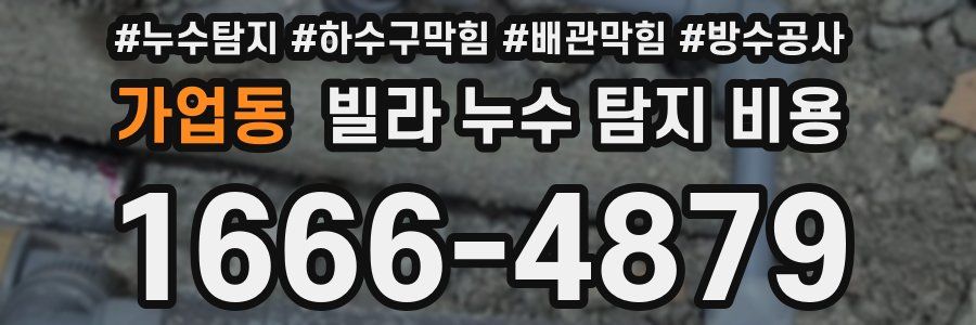 가업동 빌라 누수 탐지 비용