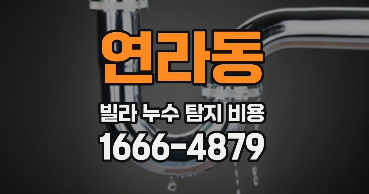연라동 빌라 누수 탐지 비용