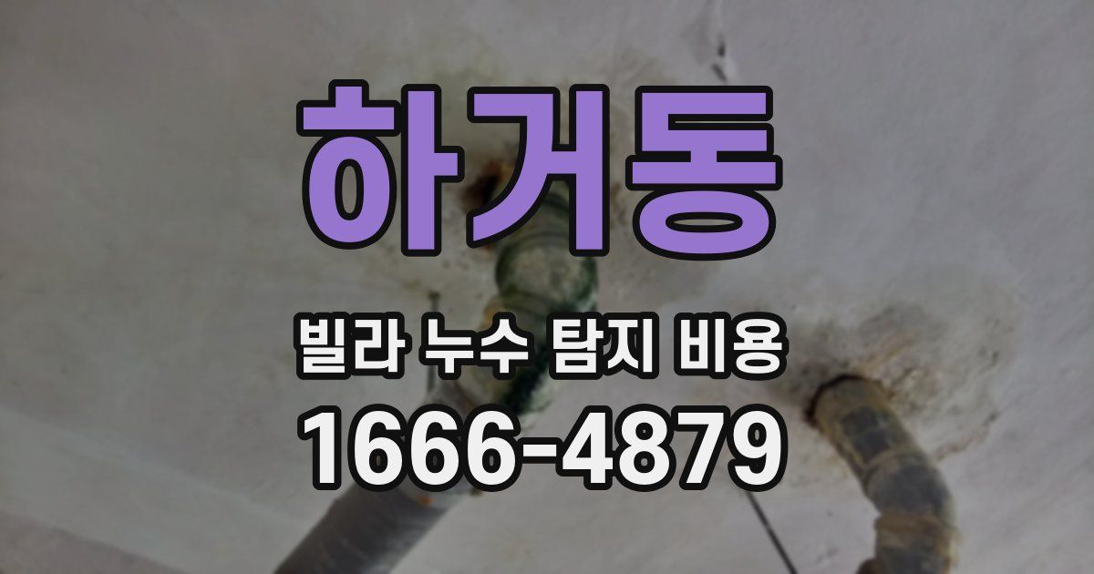 하거동 빌라 누수 탐지 비용