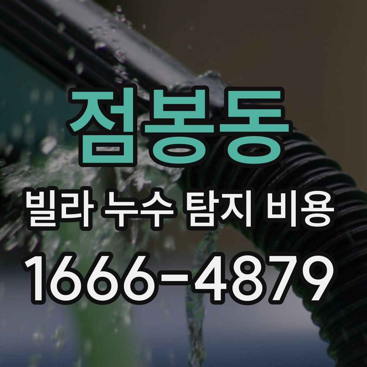 점봉동 빌라 누수 탐지 비용