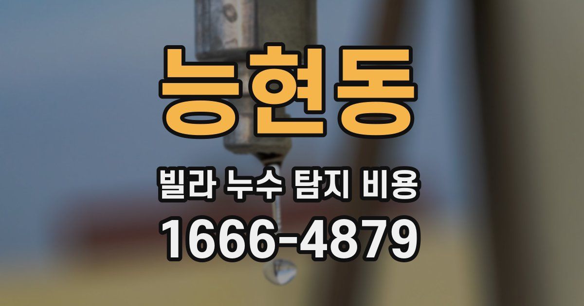 능현동 빌라 누수 탐지 비용