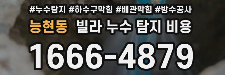 능현동 빌라 누수 탐지 비용