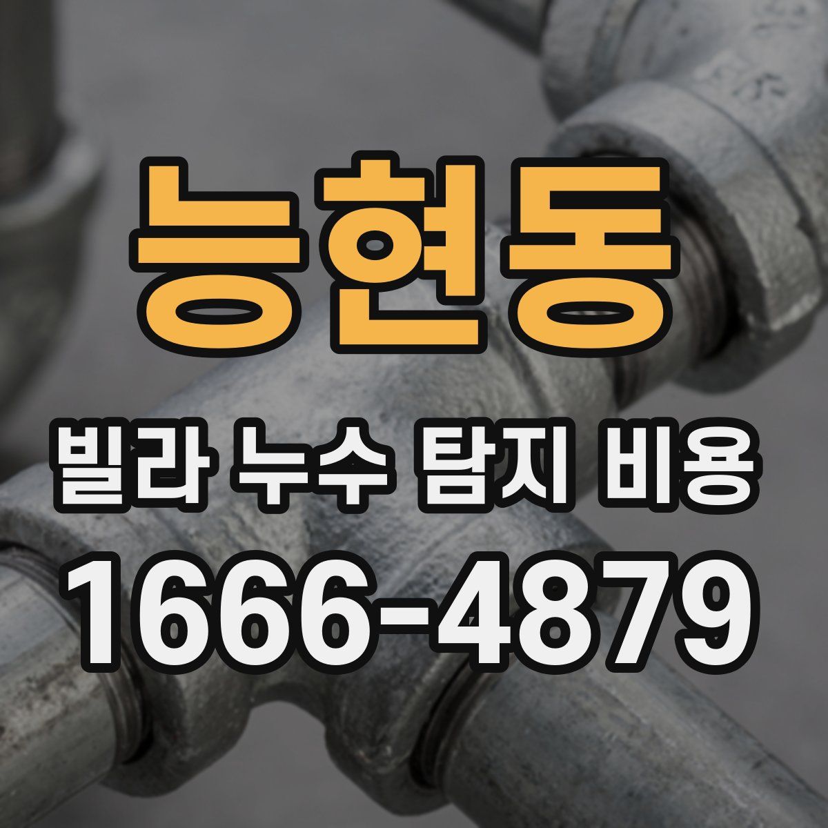 능현동 빌라 누수 탐지 비용