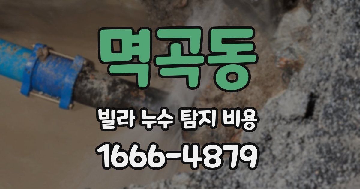 멱곡동 빌라 누수 탐지 비용