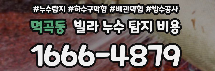 멱곡동 빌라 누수 탐지 비용