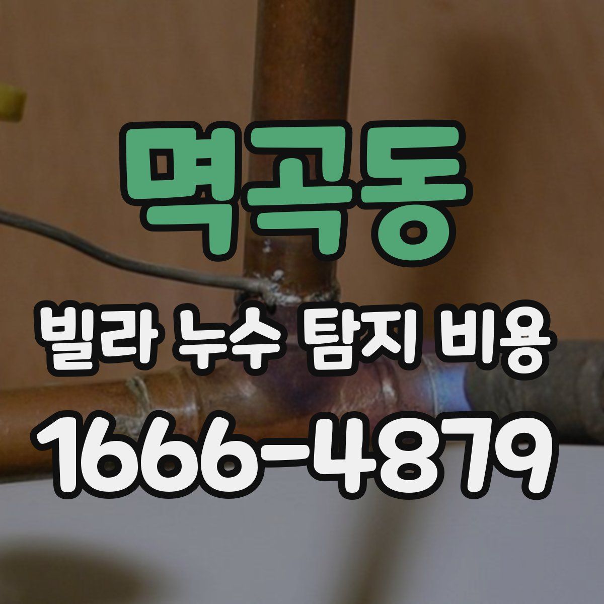 멱곡동 빌라 누수 탐지 비용