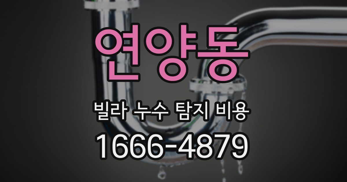 연양동 빌라 누수 탐지 비용