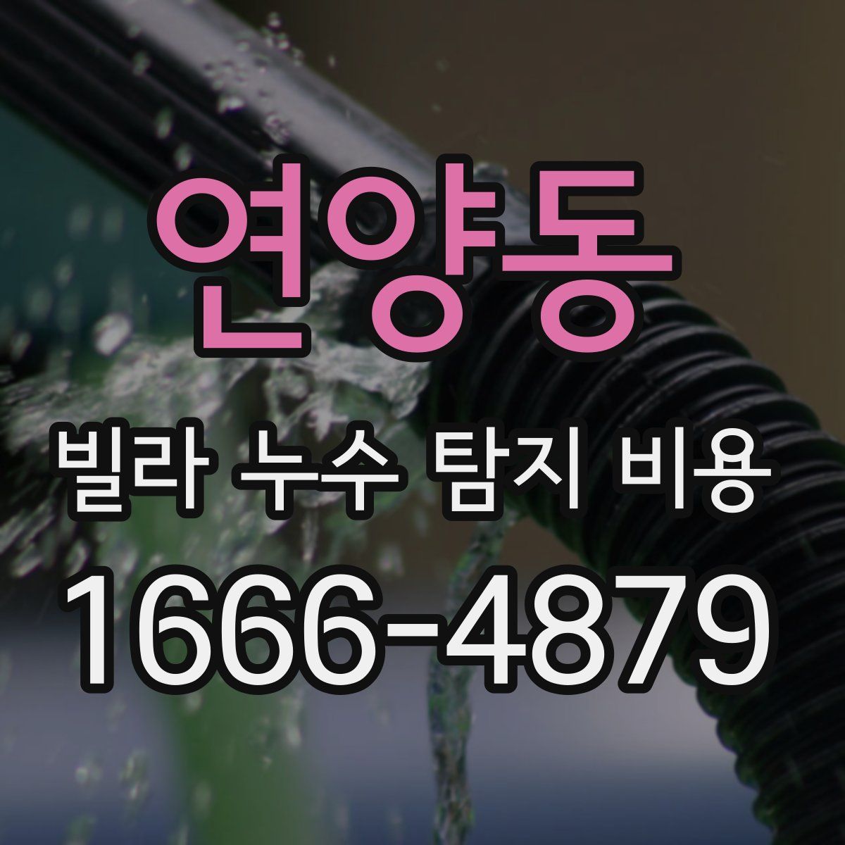 연양동 빌라 누수 탐지 비용