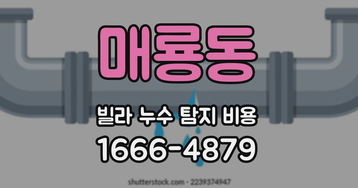 매룡동 빌라 누수 탐지 비용