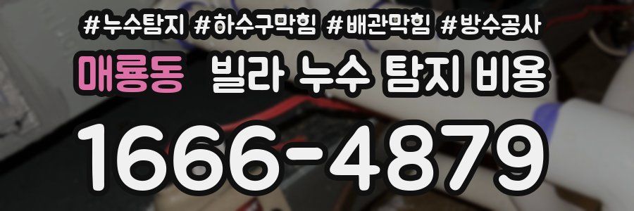 매룡동 빌라 누수 탐지 비용