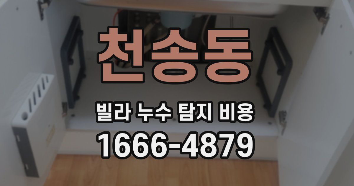 천송동 빌라 누수 탐지 비용