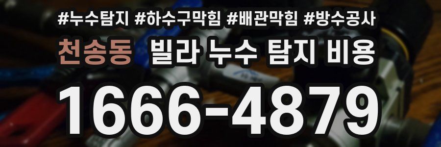 천송동 빌라 누수 탐지 비용