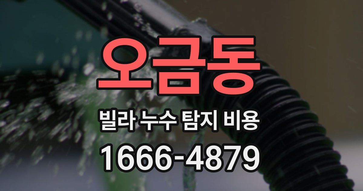 오금동 빌라 누수 탐지 비용