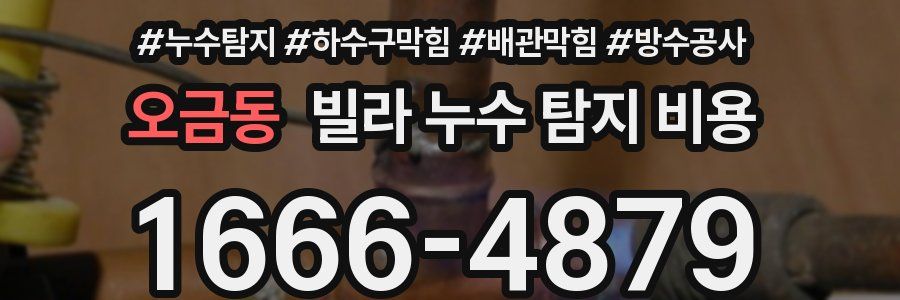 오금동 빌라 누수 탐지 비용