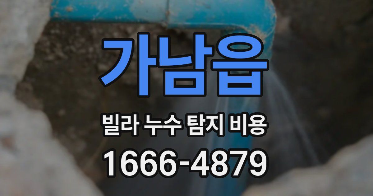 가남읍 빌라 누수 탐지 비용