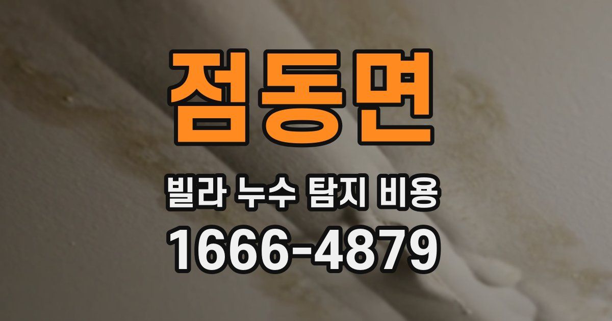 점동면 빌라 누수 탐지 비용