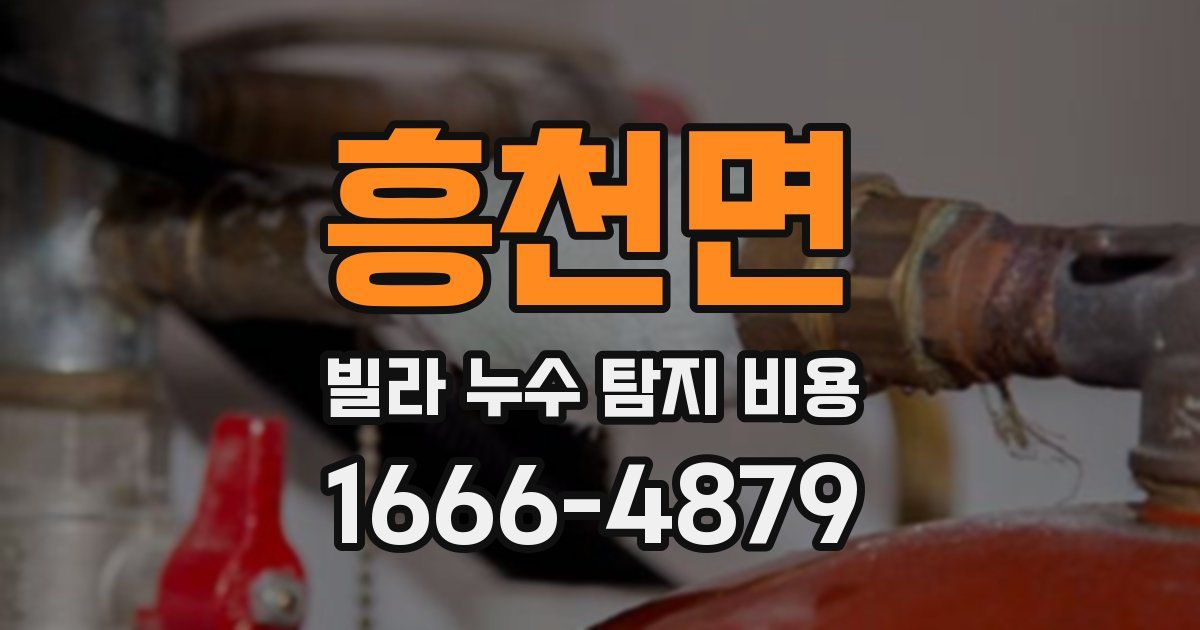 흥천면 빌라 누수 탐지 비용