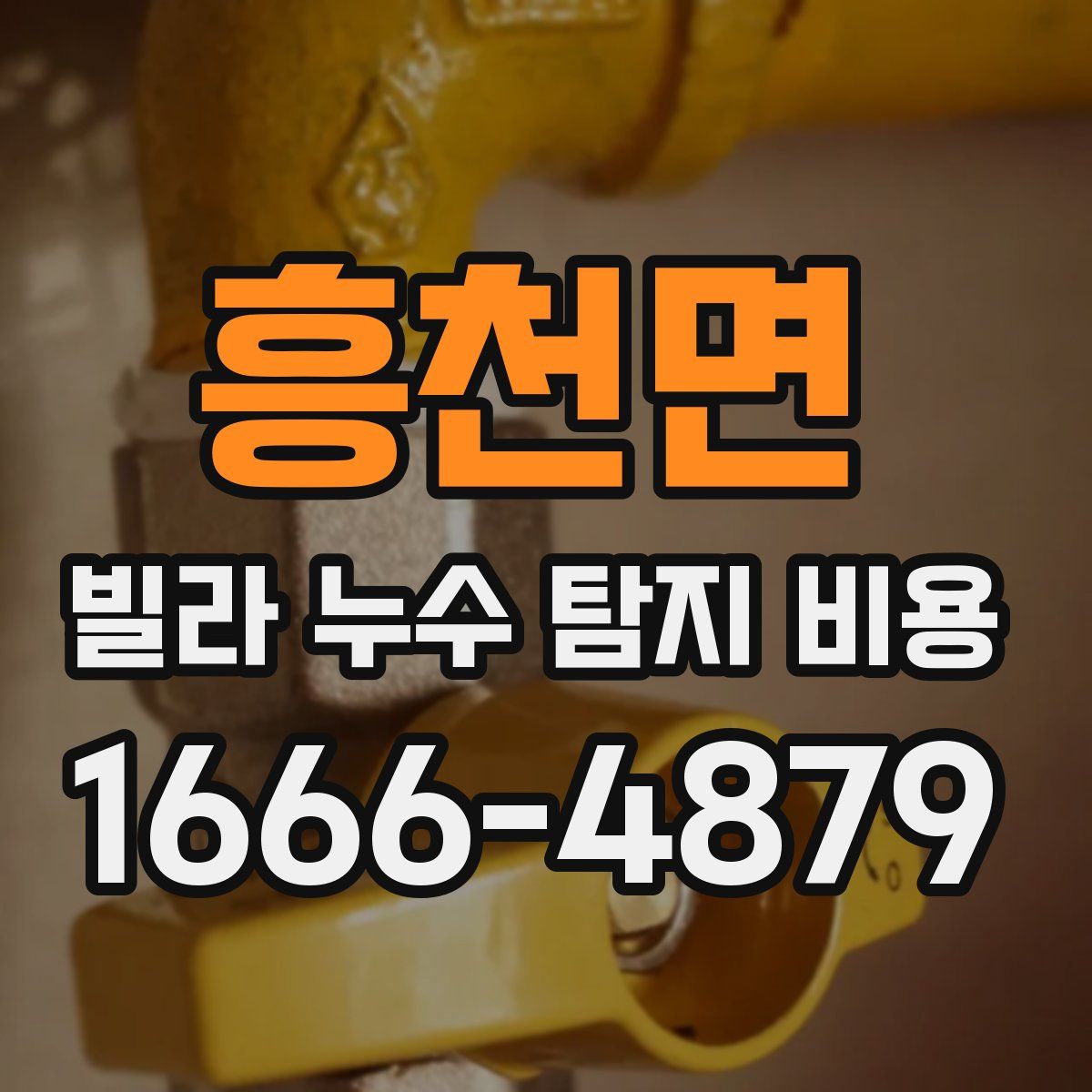 흥천면 빌라 누수 탐지 비용