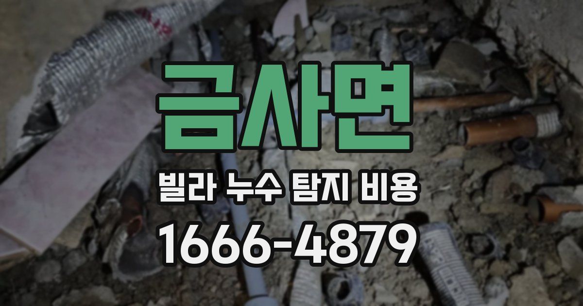 금사면 빌라 누수 탐지 비용