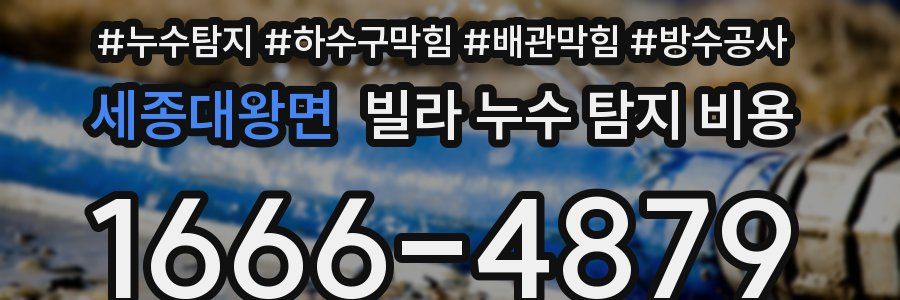세종대왕면 빌라 누수 탐지 비용