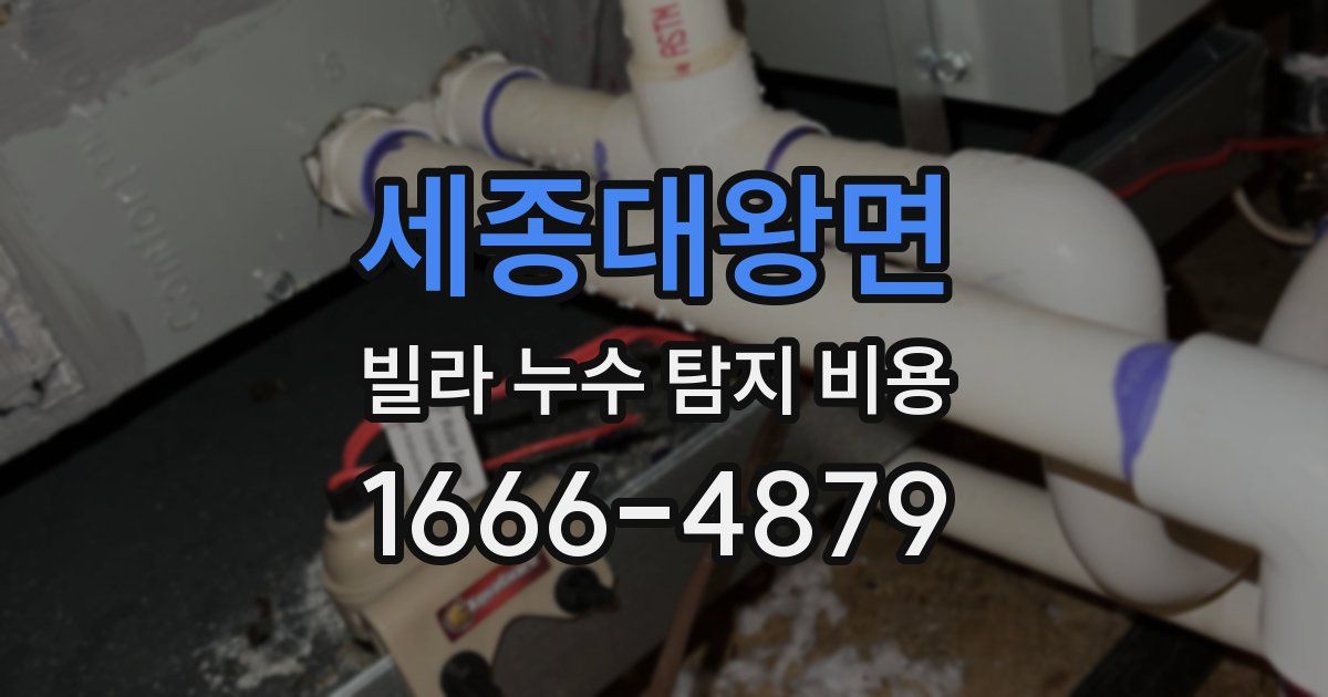 세종대왕면 빌라 누수 탐지 비용