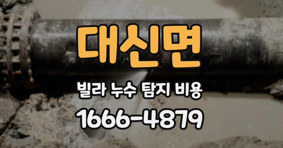 대신면 빌라 누수 탐지 비용