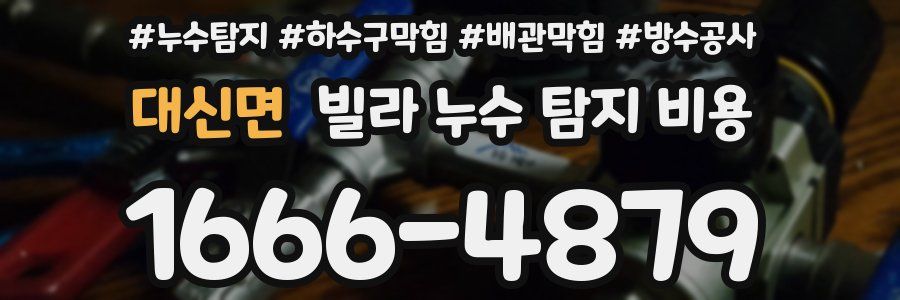 대신면 빌라 누수 탐지 비용
