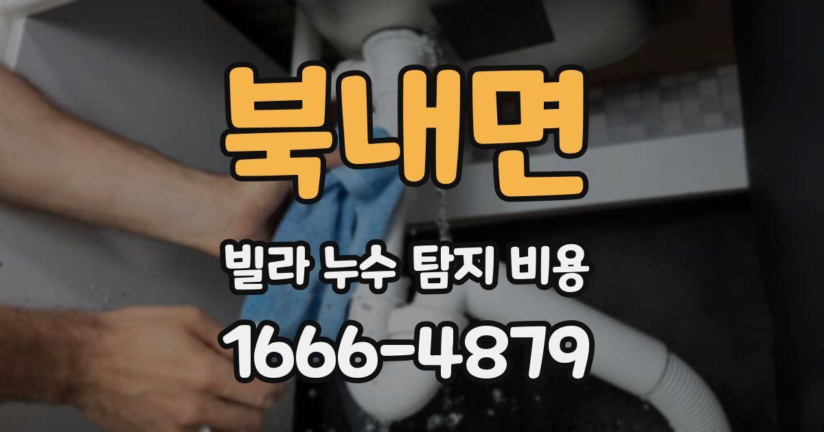 북내면 빌라 누수 탐지 비용