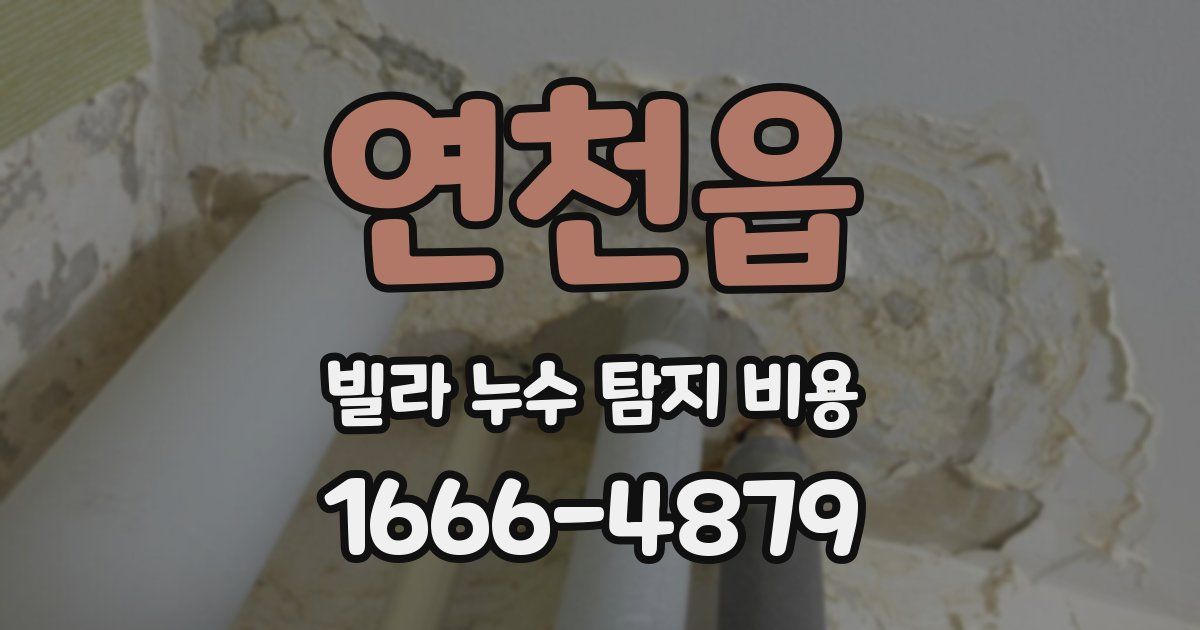 연천읍 빌라 누수 탐지 비용