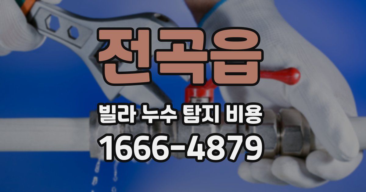 전곡읍 빌라 누수 탐지 비용