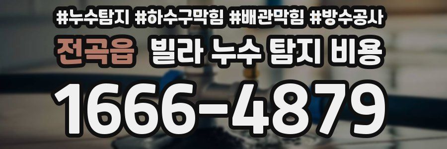 전곡읍 빌라 누수 탐지 비용
