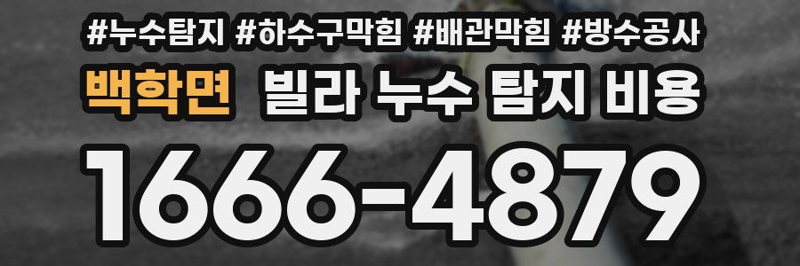 백학면 빌라 누수 탐지 비용