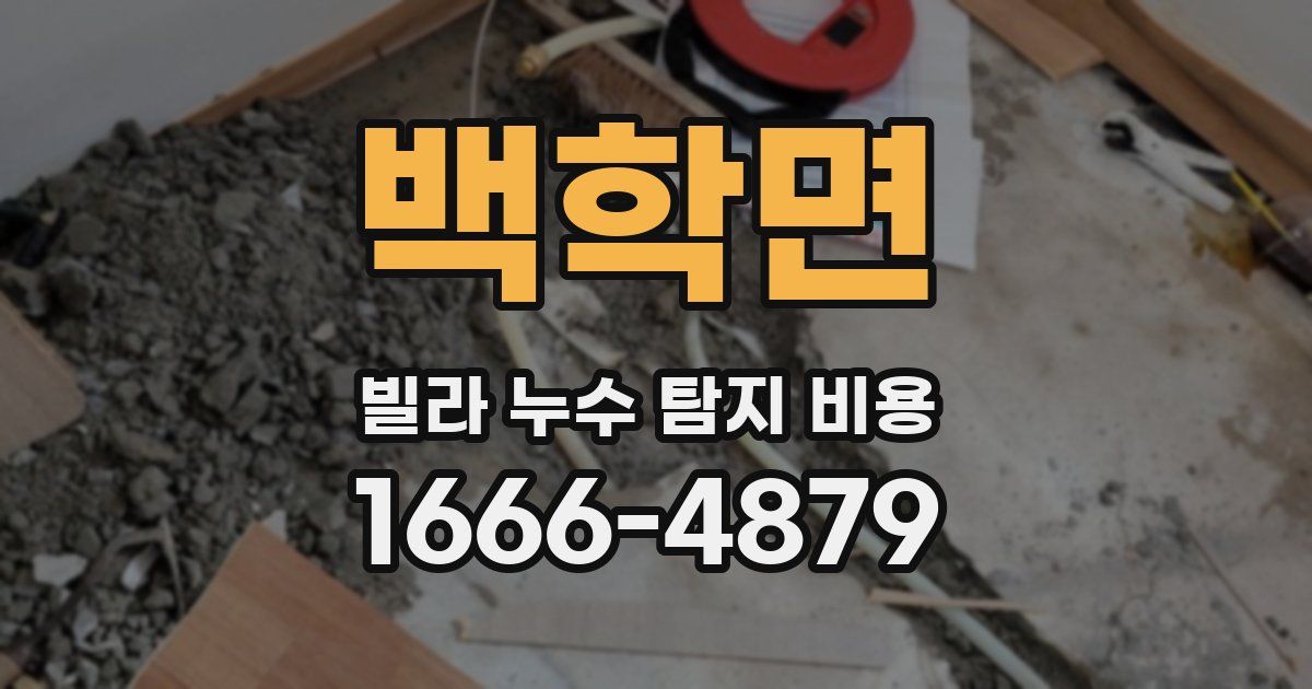 백학면 빌라 누수 탐지 비용