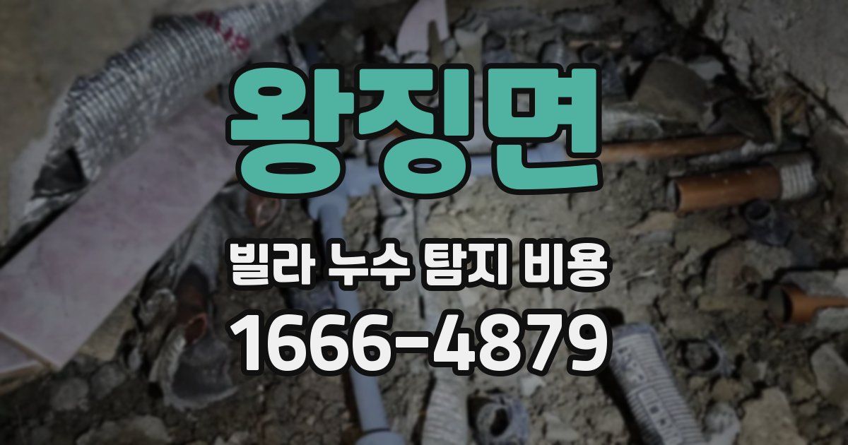 왕징면 빌라 누수 탐지 비용