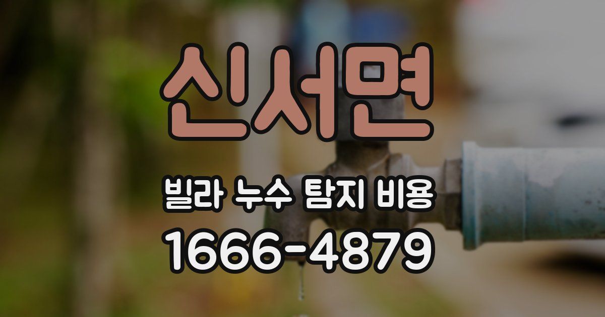 신서면 빌라 누수 탐지 비용