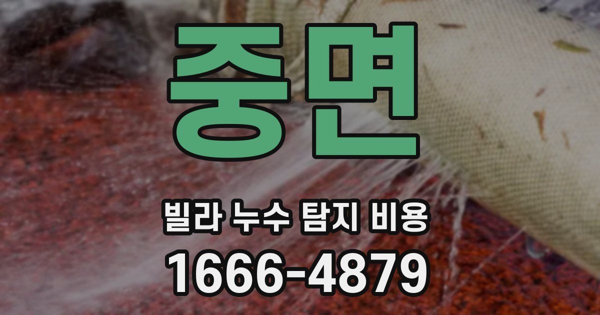 중면 빌라 누수 탐지 비용