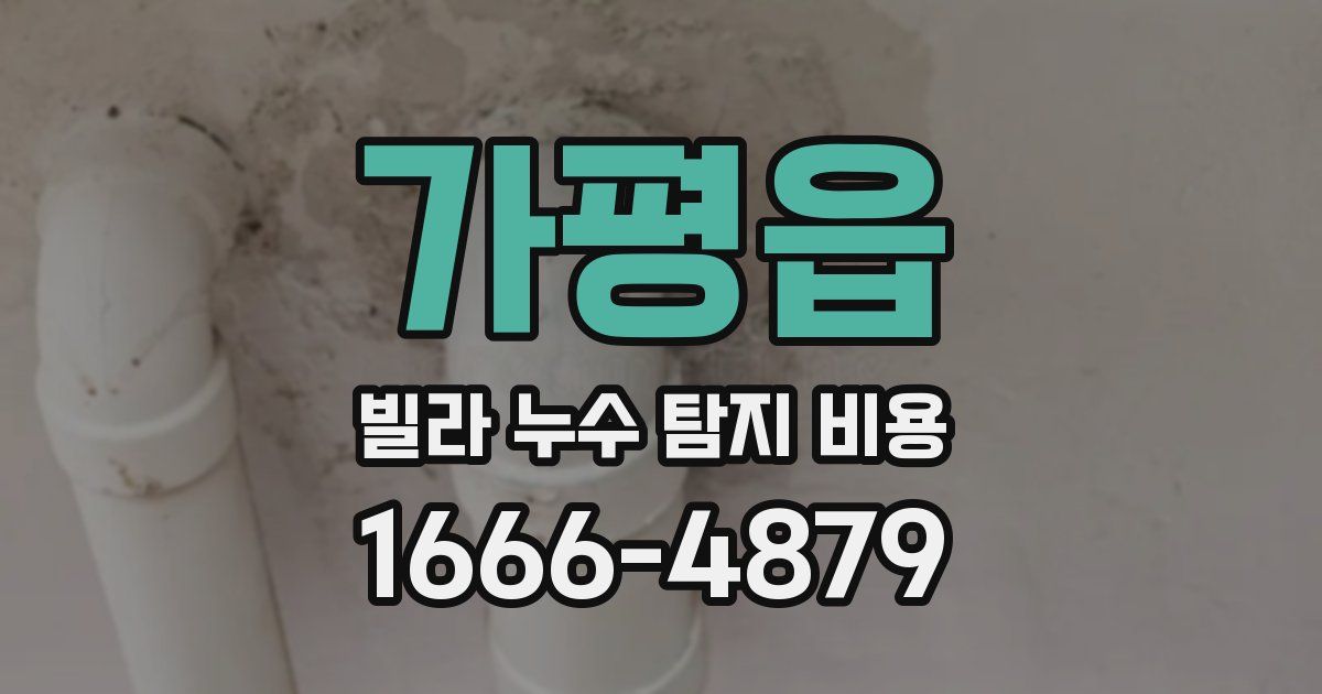 가평읍 빌라 누수 탐지 비용