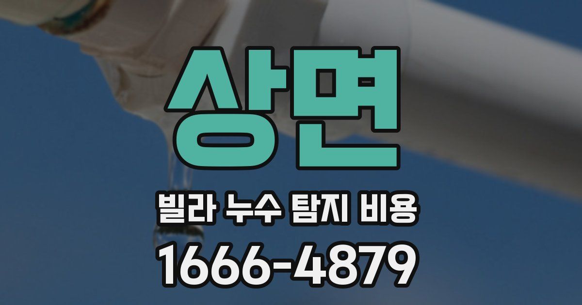 상면 빌라 누수 탐지 비용