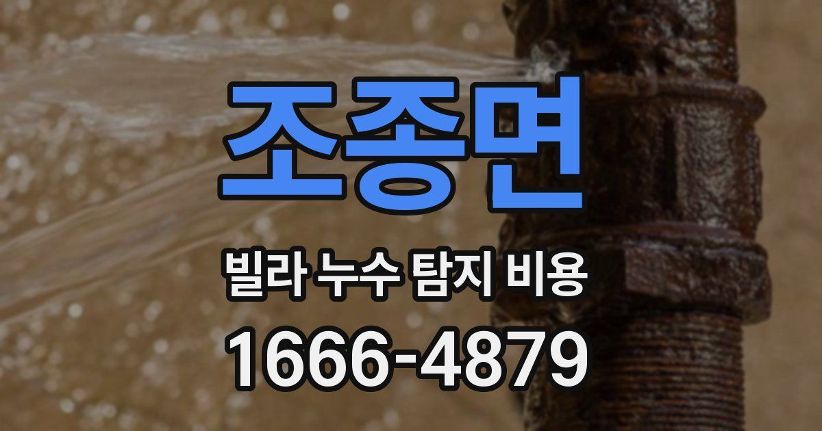조종면 빌라 누수 탐지 비용